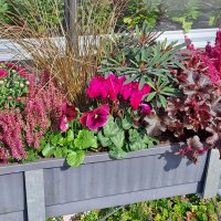 Beet & Balkon - Herbst