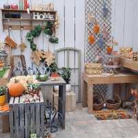 Dekoratives - Herbst