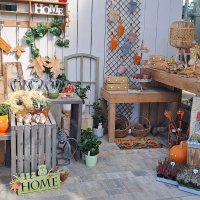 Dekoratives - Herbst
