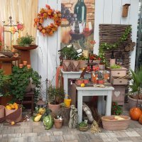 Dekoratives - Herbst
