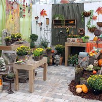 Dekoratives - Herbst
