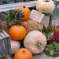 Gaertnerei Herbst